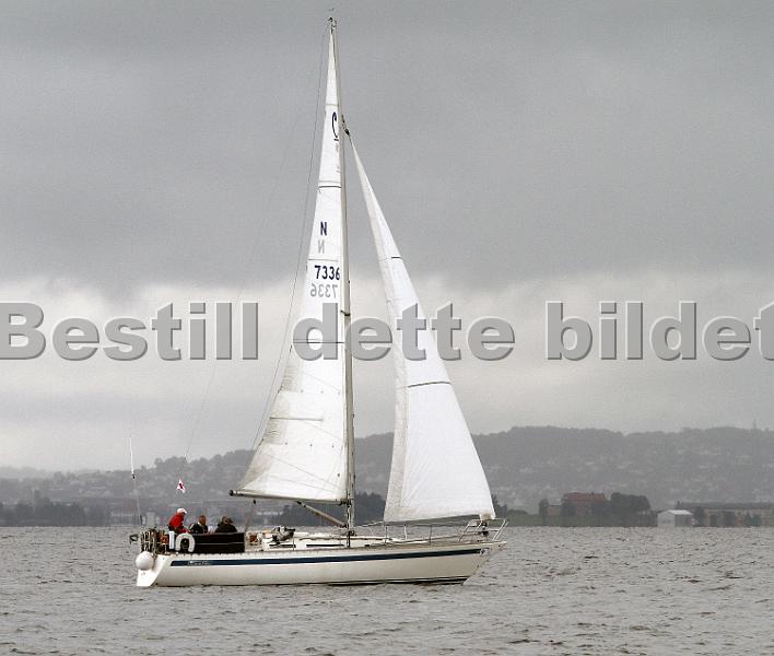 N7336_1.jpg