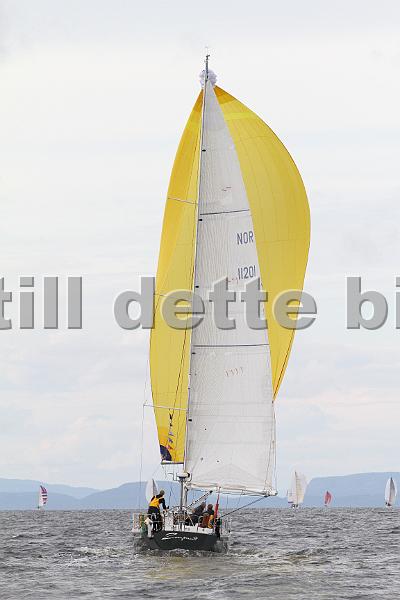 NOR11201_4.jpg