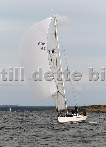 NOR36_1.jpg