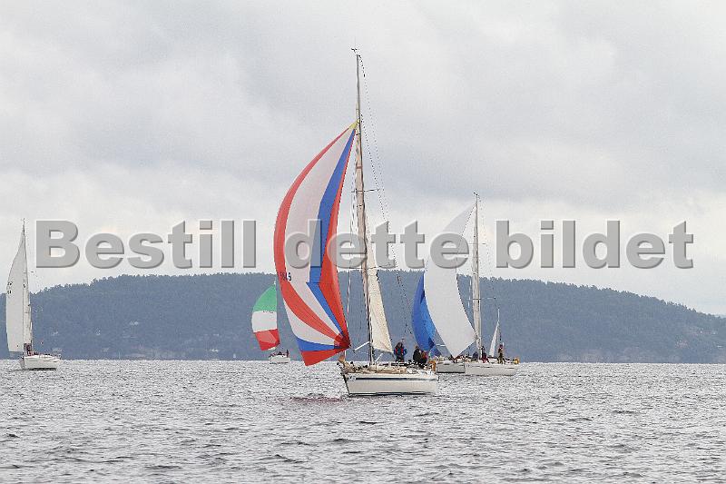 NOR5849_2.jpg