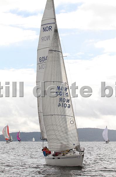 NOR6014_2.jpg