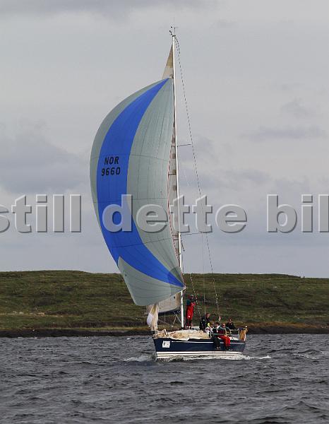 NOR9660_3.jpg