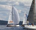 NOR36_1