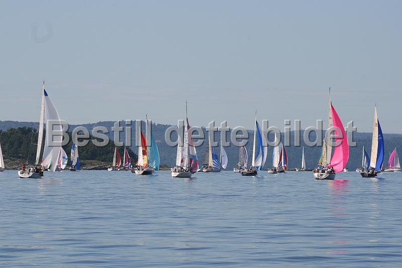 Hollender079.jpg