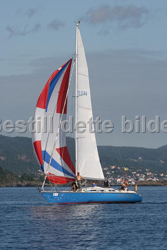 NED3546.jpg