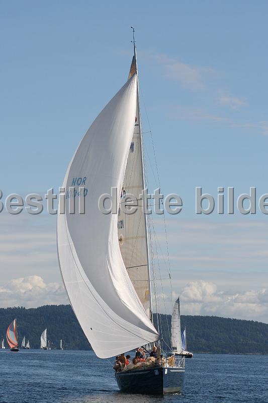 NOR10040_2.jpg