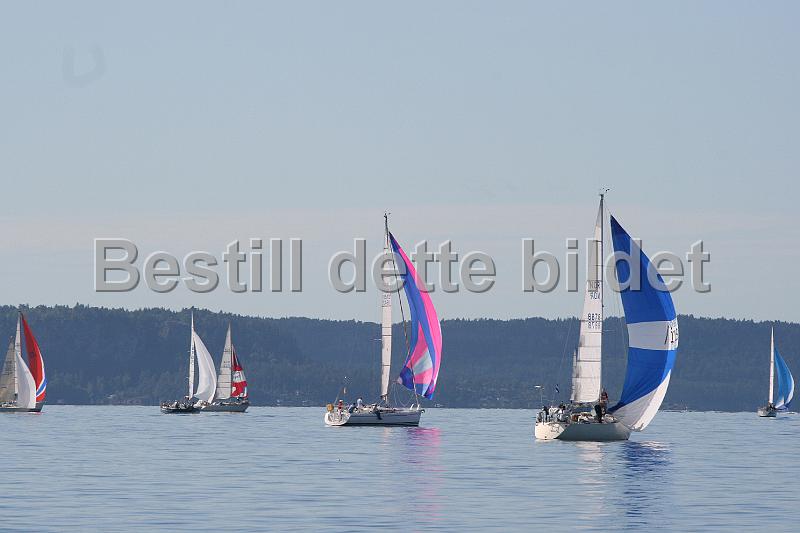 NOR11543_NOR8878.jpg