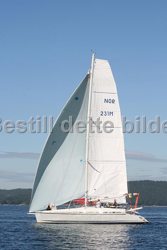 NOR231M_2.jpg