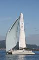 NOR231M