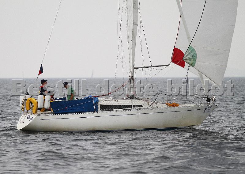 N2020_2.jpg