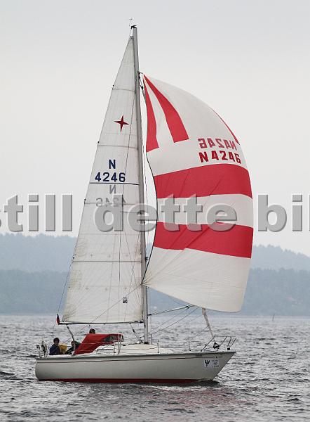 N4246_1.jpg