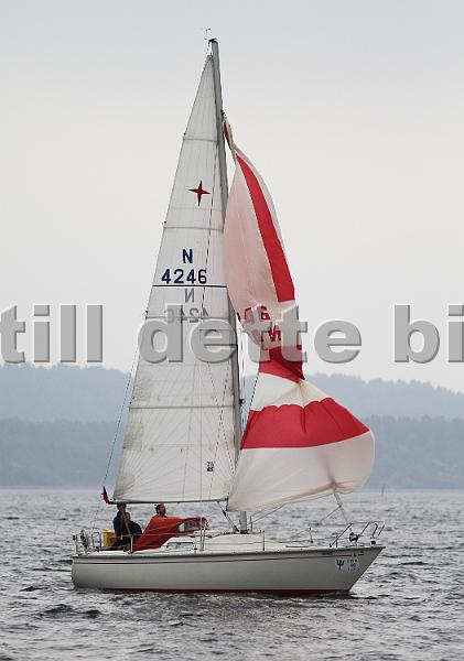 N4246_2.jpg