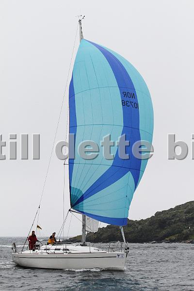 NOR10738_2.jpg
