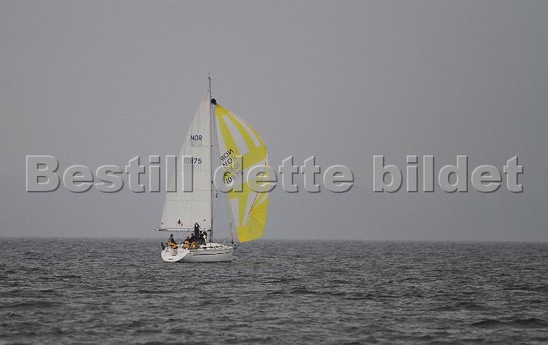NOR10875_1.jpg