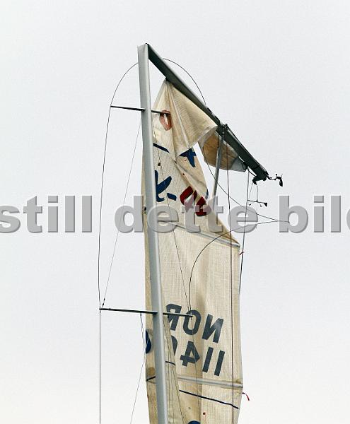 NOR11400_1.jpg