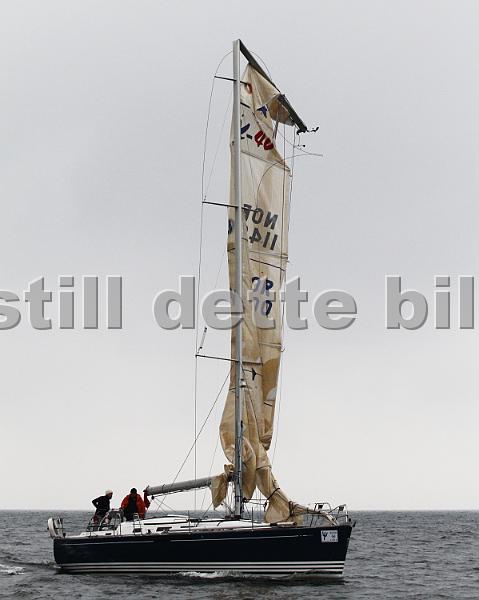 NOR11400_2.jpg