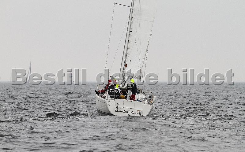 NOR12561_2.jpg
