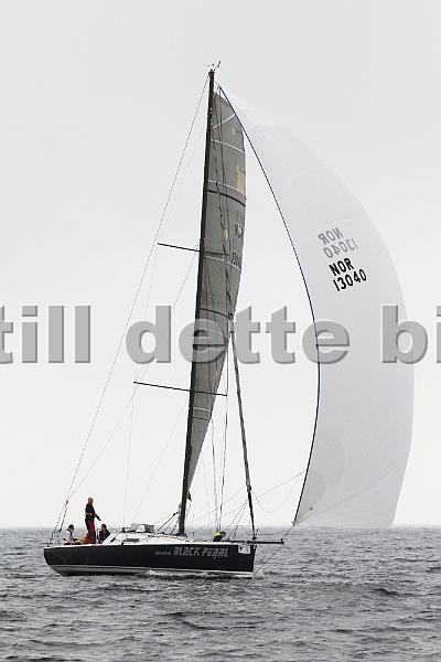 NOR13040_1.jpg
