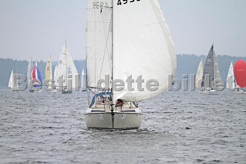 NOR4939_1.jpg
