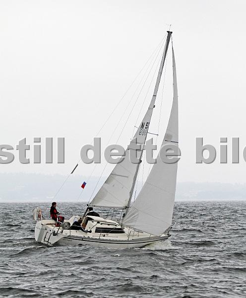 NOR5369_2.jpg