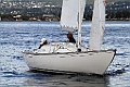 IMG_6695