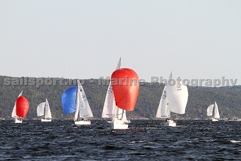 IMG_4259.jpg