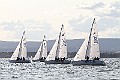 IMG_4176