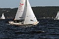 IMG_4305