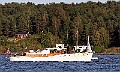 IMG_4339