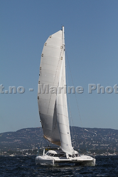 Catamaran_stor_1.jpg