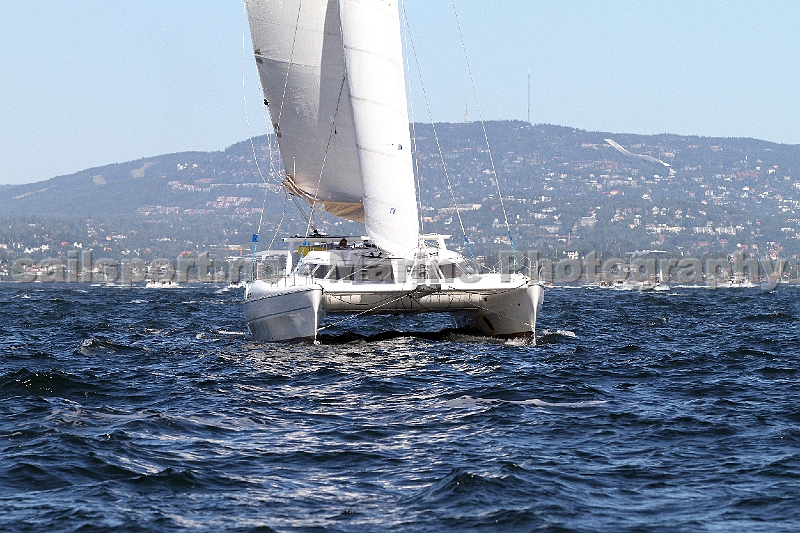 Catamaran_stor_2.jpg