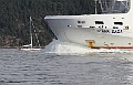 Skip_seilbat_1
