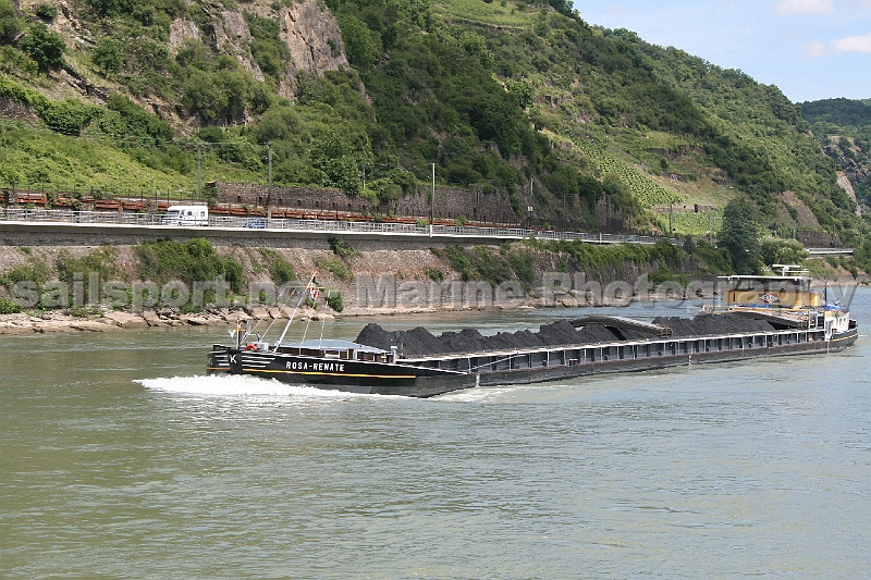 rhein_RosaRenate.jpg