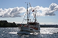 Saltnesvag_001