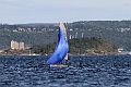 IMG_6581