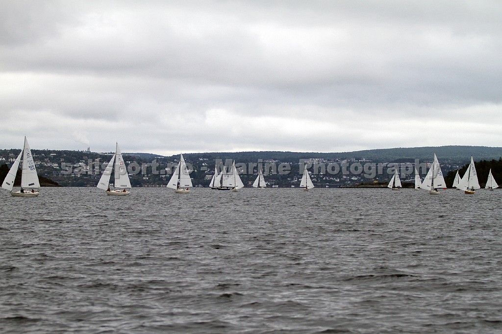 IMG_8548.jpg