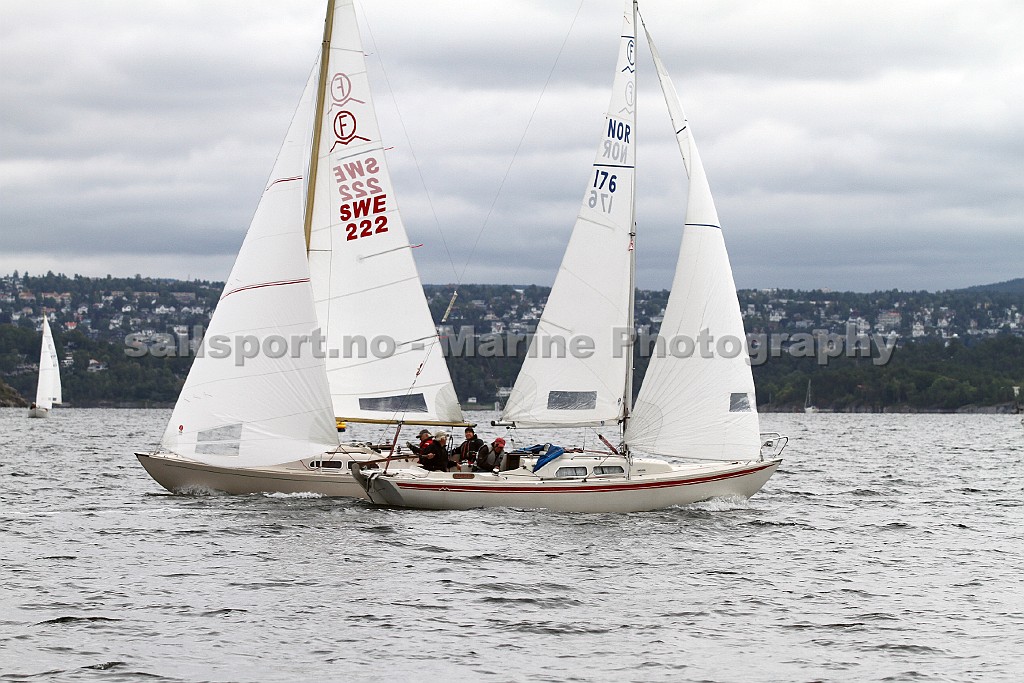IMG_8360.jpg