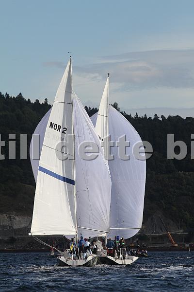 IMG_8582.JPG