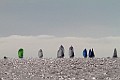IMG_4515