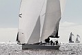IMG_4535