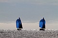 IMG_4559