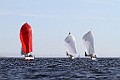 IMG_4908