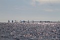 IMG_5251