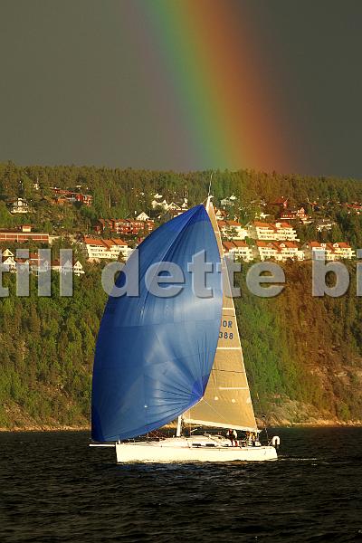 NOR10388_1.jpg