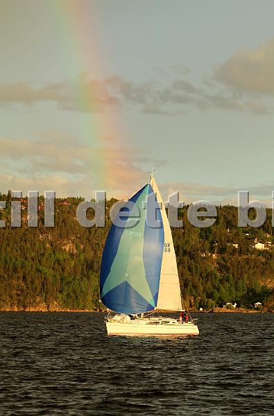 NOR10760_2.jpg