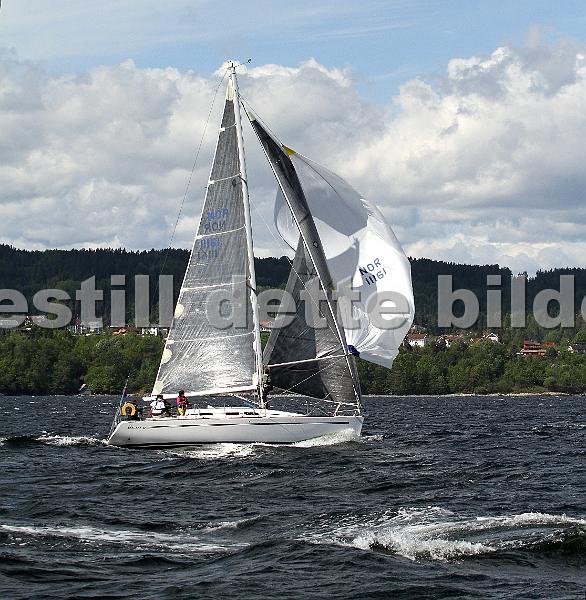 NOR11161_10.jpg