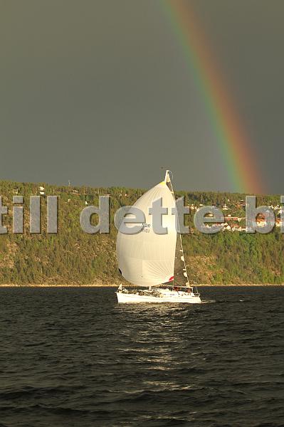 NOR11161_2.jpg