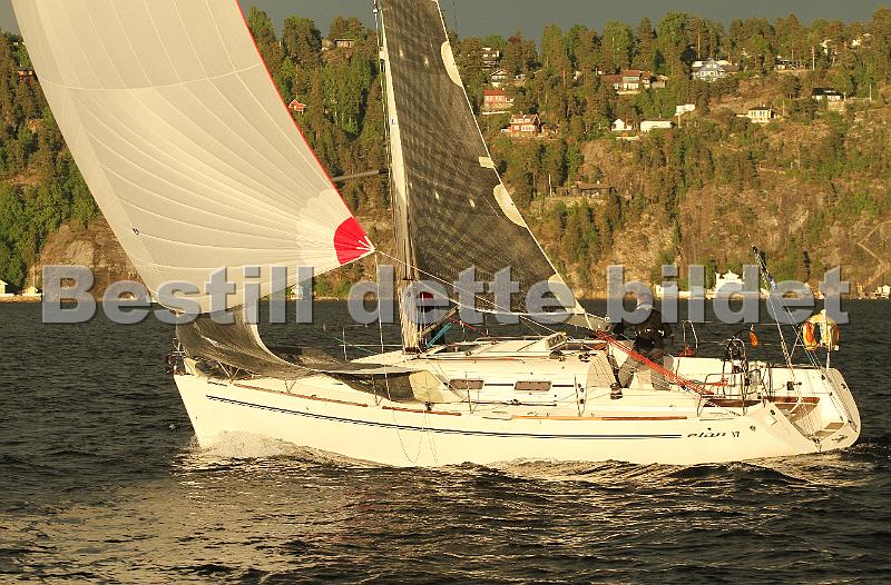NOR11161_3.jpg