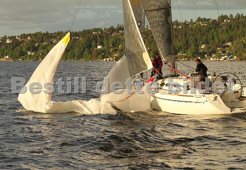 NOR11161_7.jpg