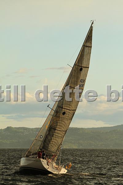 NOR11161_8.jpg